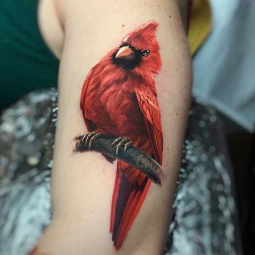17 Red Cardinal Tattoo Ideas