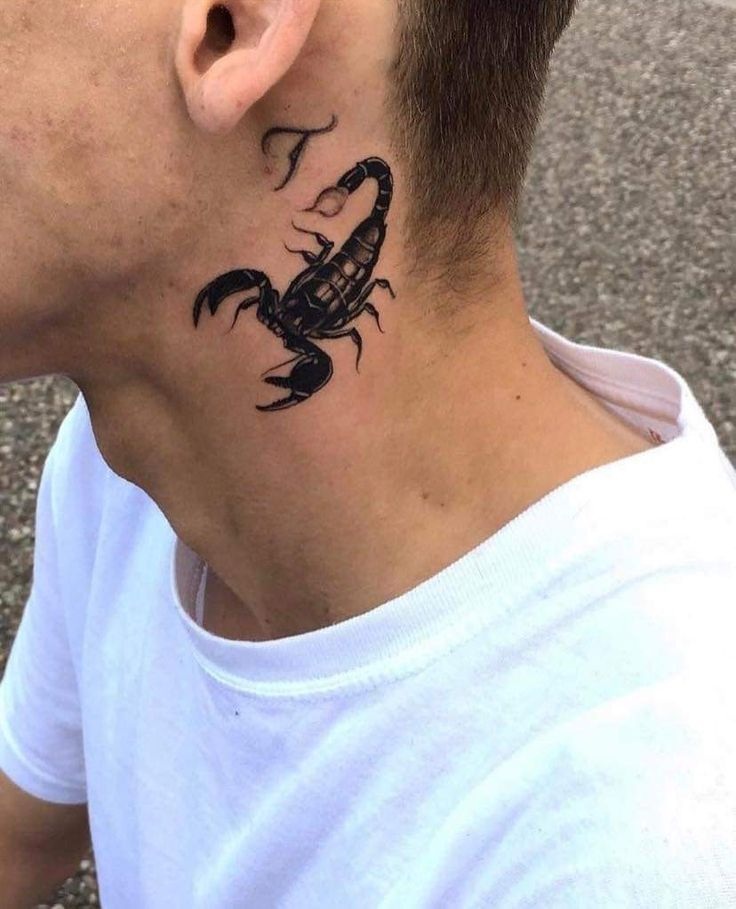 27 Scorpion Tattoo Ideas for : Bold Designs, Feminine Scorpio Styles, and Powerful Ink
