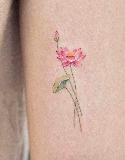 30 Creative Water Lily Tattoos for : Tattoos with Special Meanings