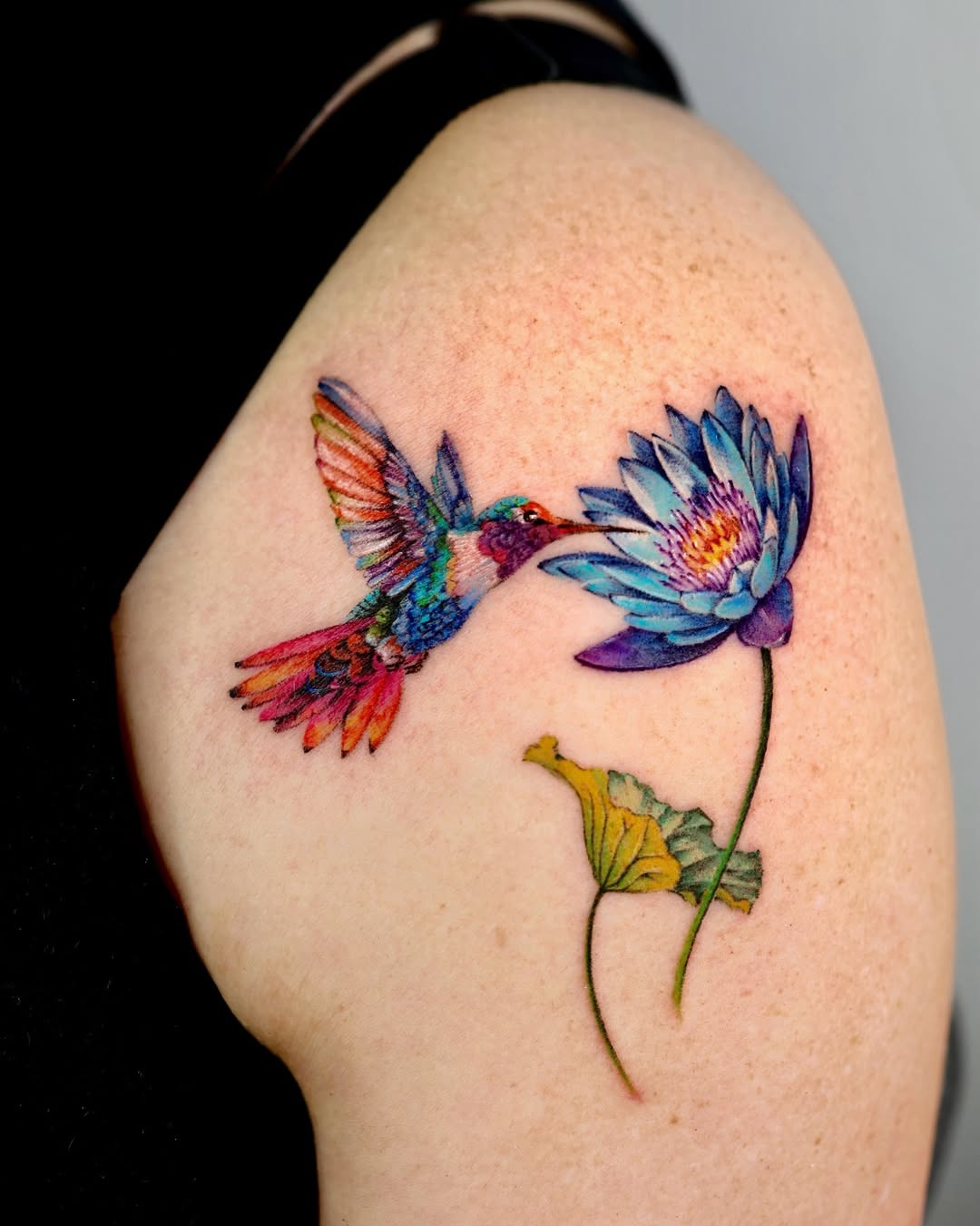 30 Creative Water Lily Tattoos for : Tattoos with Special Meanings