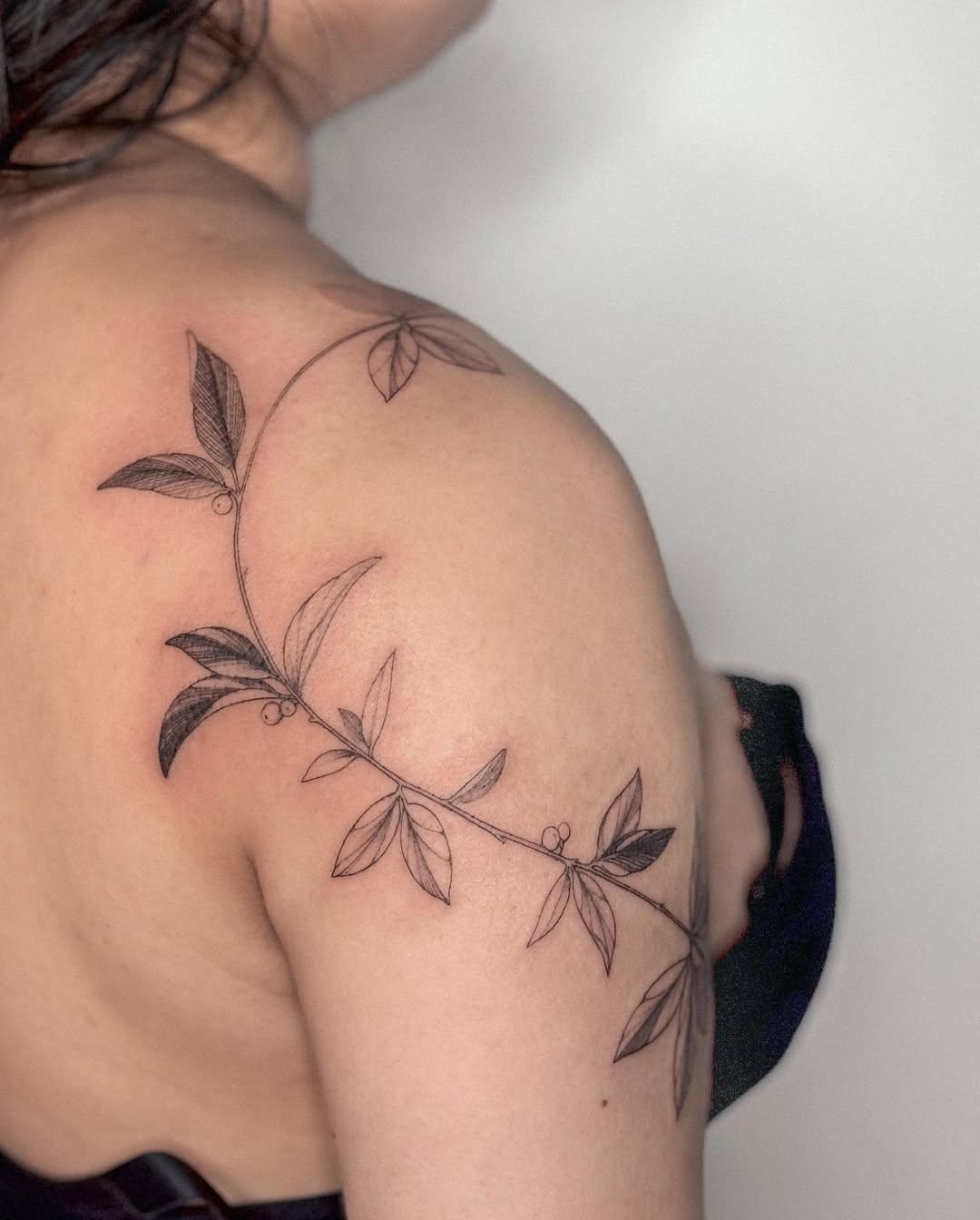 25 Vine Tattoo Designs for Women and Men Sleeve, Arm, Shoulder, Traditional, Wrap Around Ideas