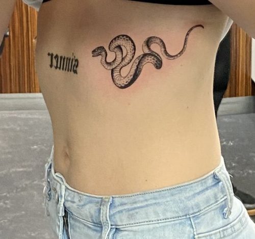 13 Snake Tattoo Ribs Ideas for Striking Art