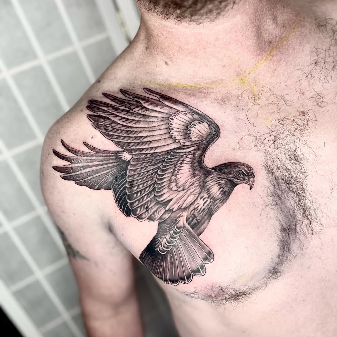 29 Hawk Tattoo Ideas: Bold Designs That Capture Power and Freedom