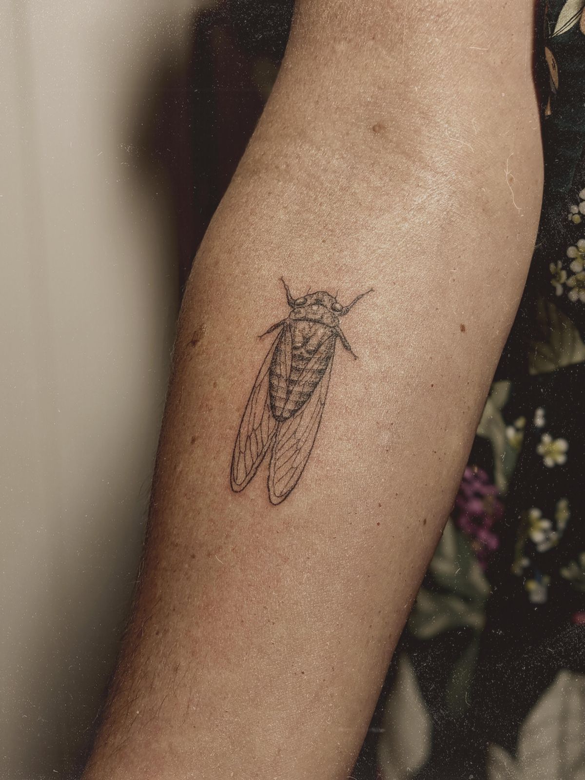 29 Cicada Tattoo Ideas: From Simple Linework to Lush Color