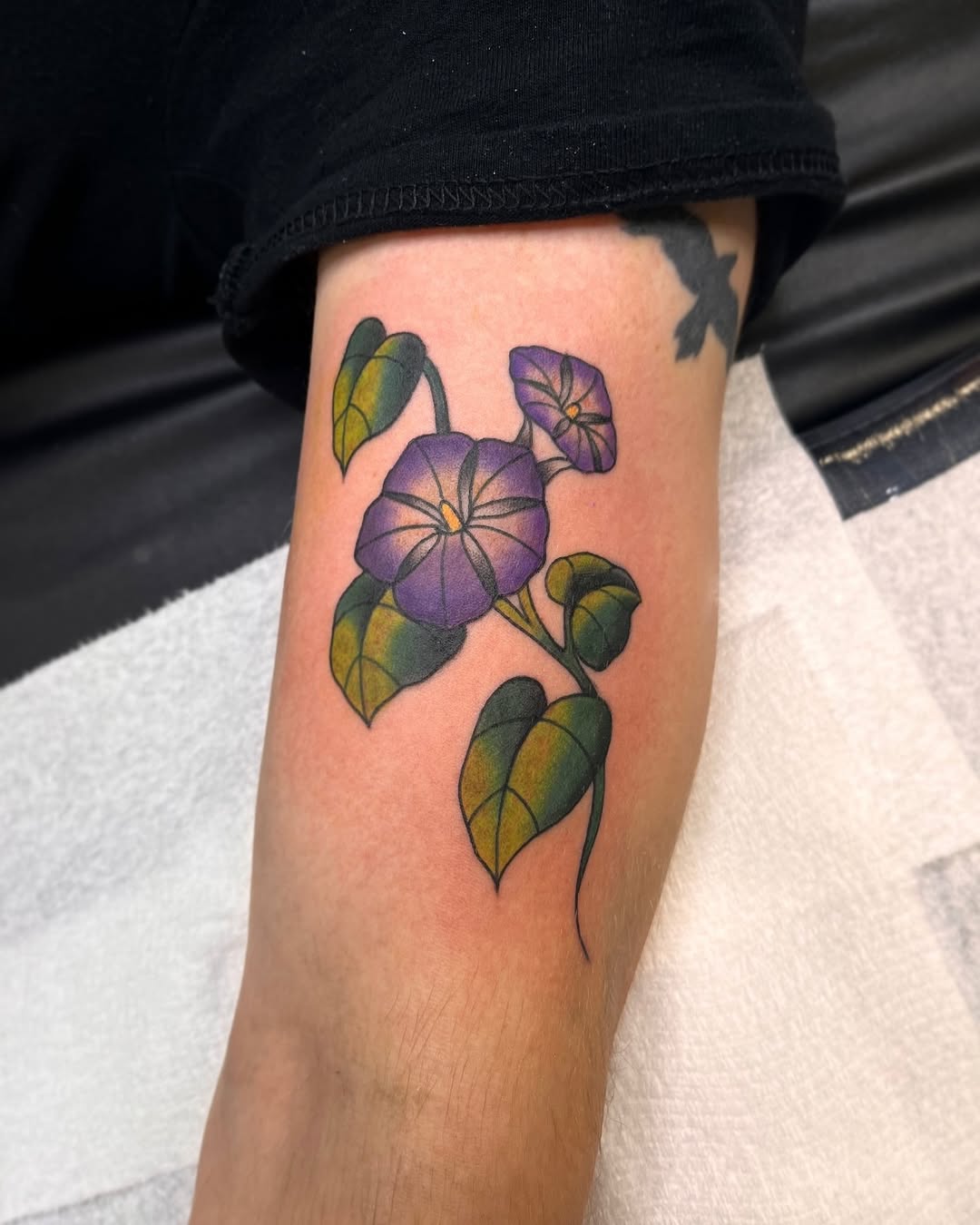 29 Morning Glory Tattoo Ideas: Elegant Vines, Quiet Symbolism, and Wearable Color