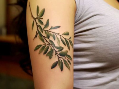 Top 20 Olive Tattoo Designs for : Embrace Peace with These Artistic Creations