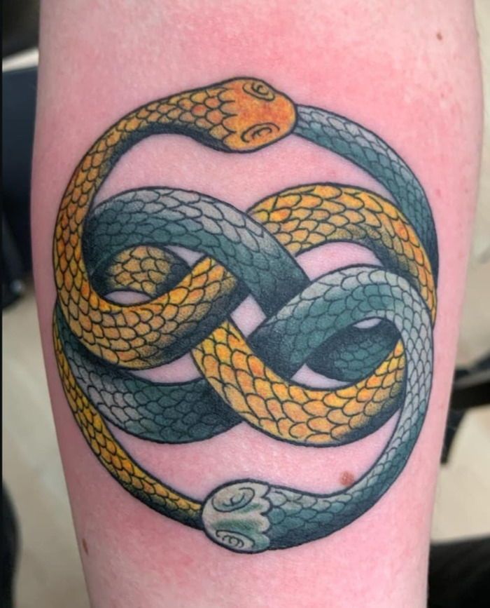 25 Ouroboros Tattoo Ideas : Minimalist, Dragon, FMAB &#038; Traditional Snake Designs