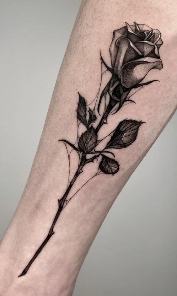 25 Unique Rose Tattoo Ideas for Men and Women with Traditional, Realistic, and Fine Line Design