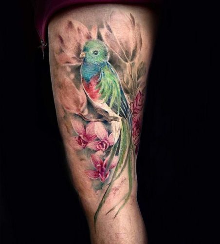 Explore 20 Captivating Quetzal Tattoo Designs for a Vibrant Ink Inspiration