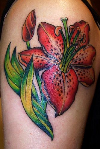 17 Tiger Lily Tattoo Ideas