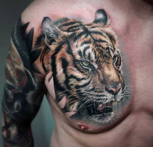 27 Chest Tiger Tattoo Ideas