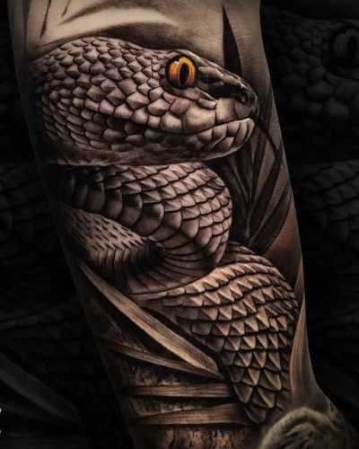 17 Awe-Inspiring Viper Snake Tattoo Concepts