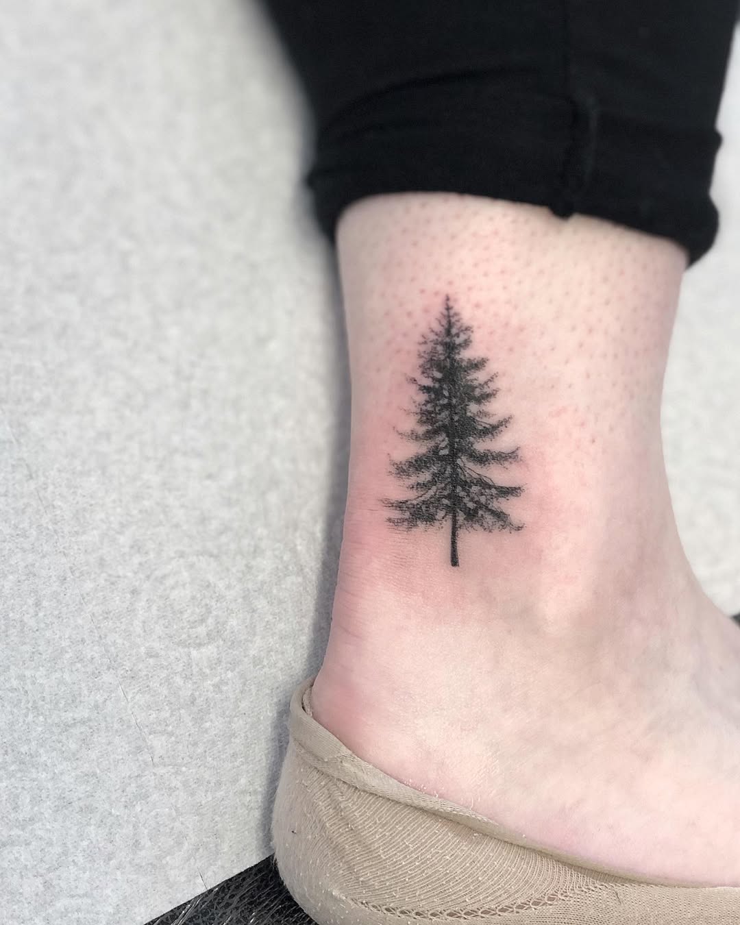 30 Pine Tree Tattoo Ideas: Quiet Symbols of Resilience, Place, and Peace