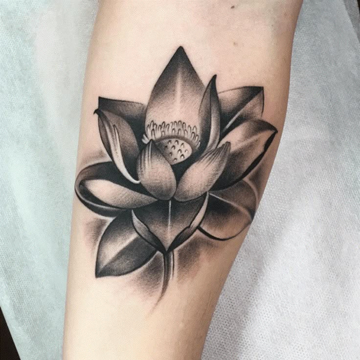 30 Stunning Lotus Tattoo Ideas  for Women &#038; Men   Back, Wrist &#038; Fine Line Designs