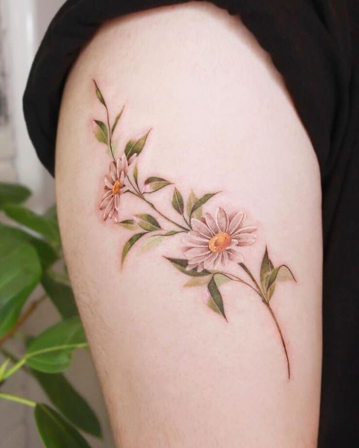 25 Daisy Tattoo Ideas with Fine Line, Watercolor, Minimalist, Stencil, Traditional & Dainty Designs
