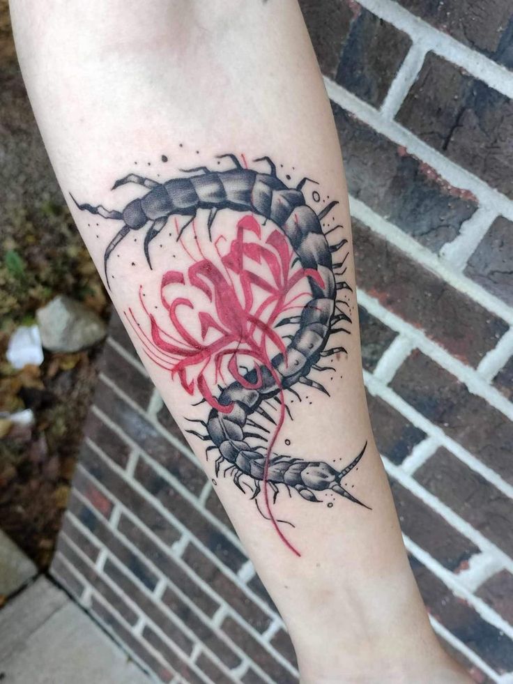 31 Centipede Tattoo Ideas : Blackwork, Traditional, Tokyo Ghoul, Spider Lily, Skull, Giant Back