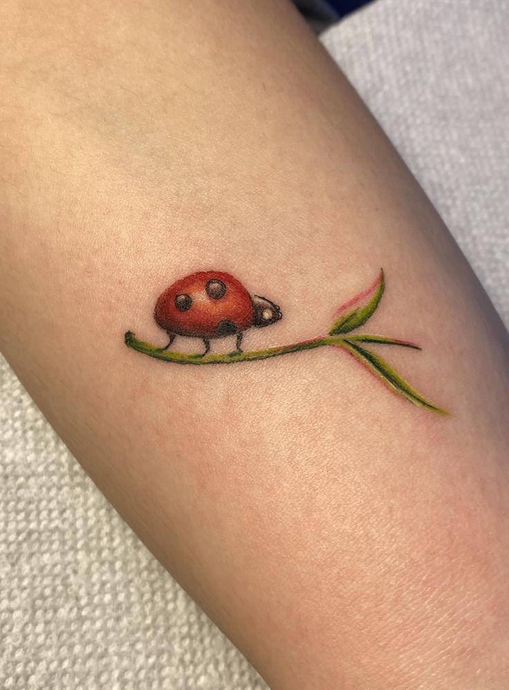 29 Ladybug Tattoo Ideas with Stencil Designs, Fine Line, Traditional Style, Gothic, Floral