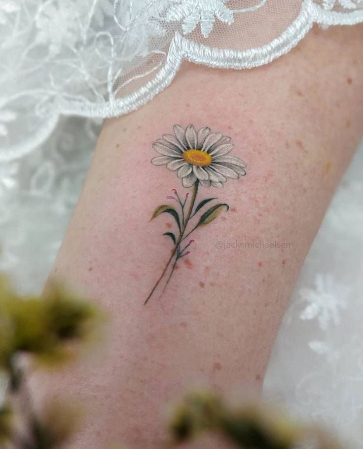 25 Daisy Tattoo Ideas with Fine Line, Watercolor, Minimalist, Stencil, Traditional & Dainty Designs