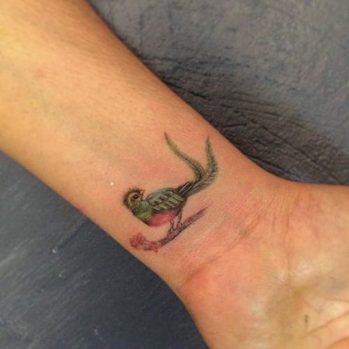 Explore 20 Captivating Quetzal Tattoo Designs for a Vibrant Ink Inspiration