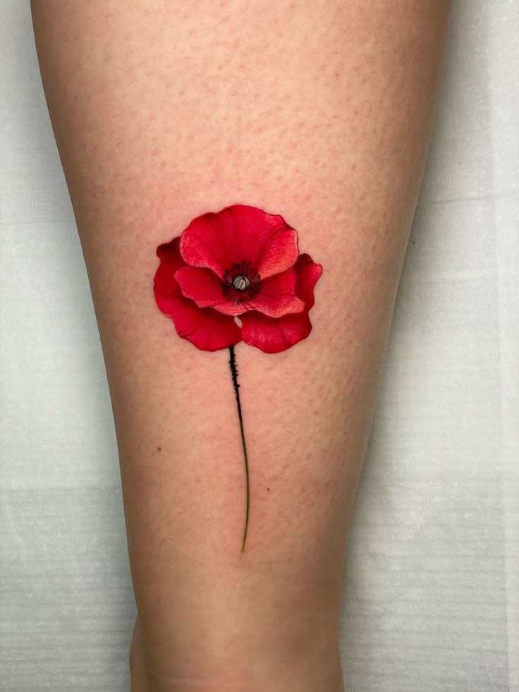 28 Poppy Tattoo Ideas for Women & Men Fine Line, Traditional, Minimalist & Bold Red Floral Designs
