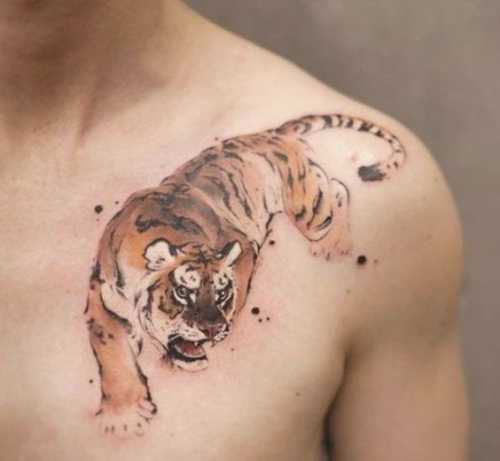 23 Traditional Tiger Tattoo Ideas