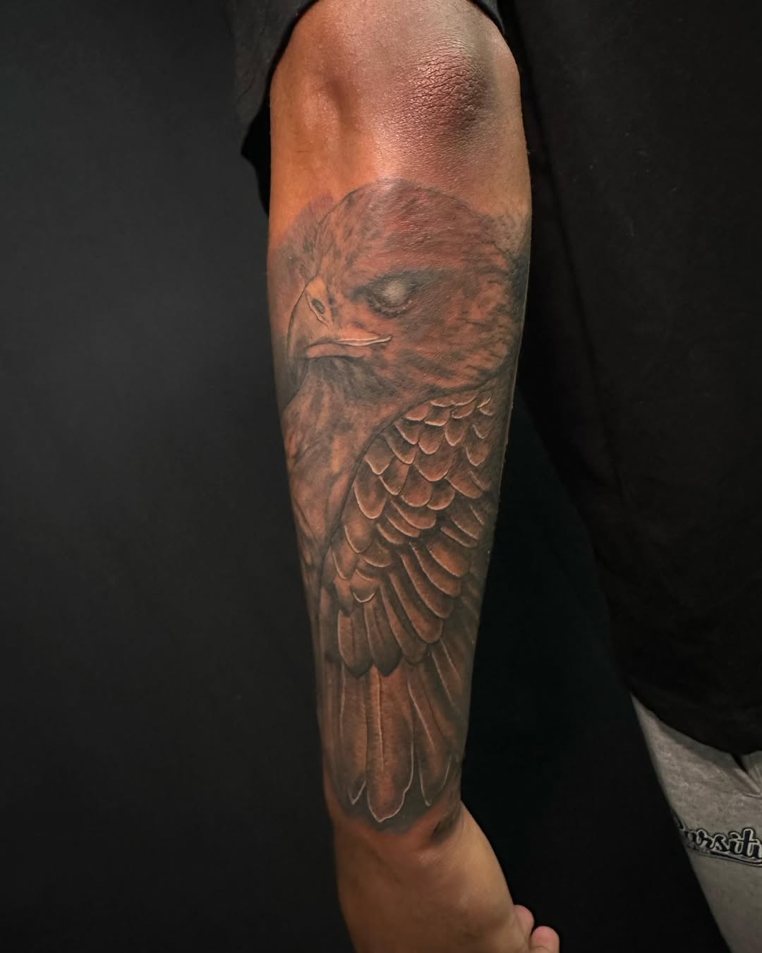 29 Hawk Tattoo Ideas: Bold Designs That Capture Power and Freedom