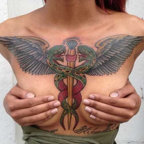 27 Caduceus Tattoo Ideas
