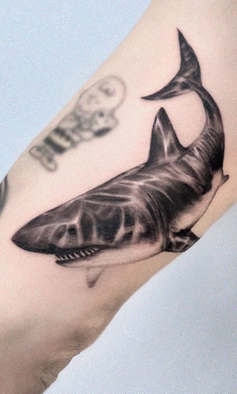 27 Shark Tattoo Ideas for Men & Women: Cute, Minimal, Traditional, Japanese Styles