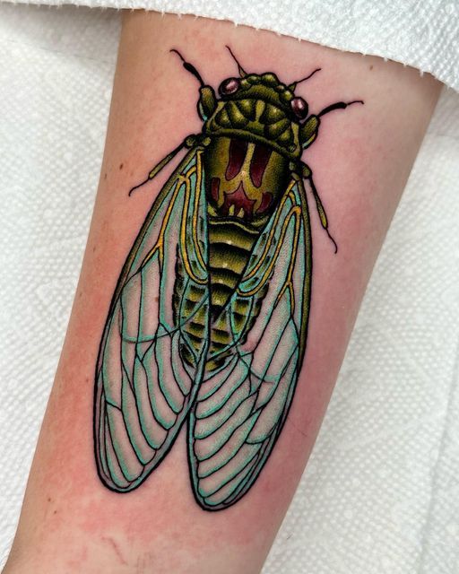 29 Cicada Tattoo Ideas: From Simple Linework to Lush Color