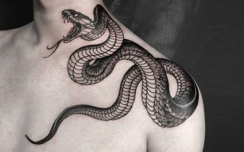 29 Snake Tattoo Design for Men Ideas