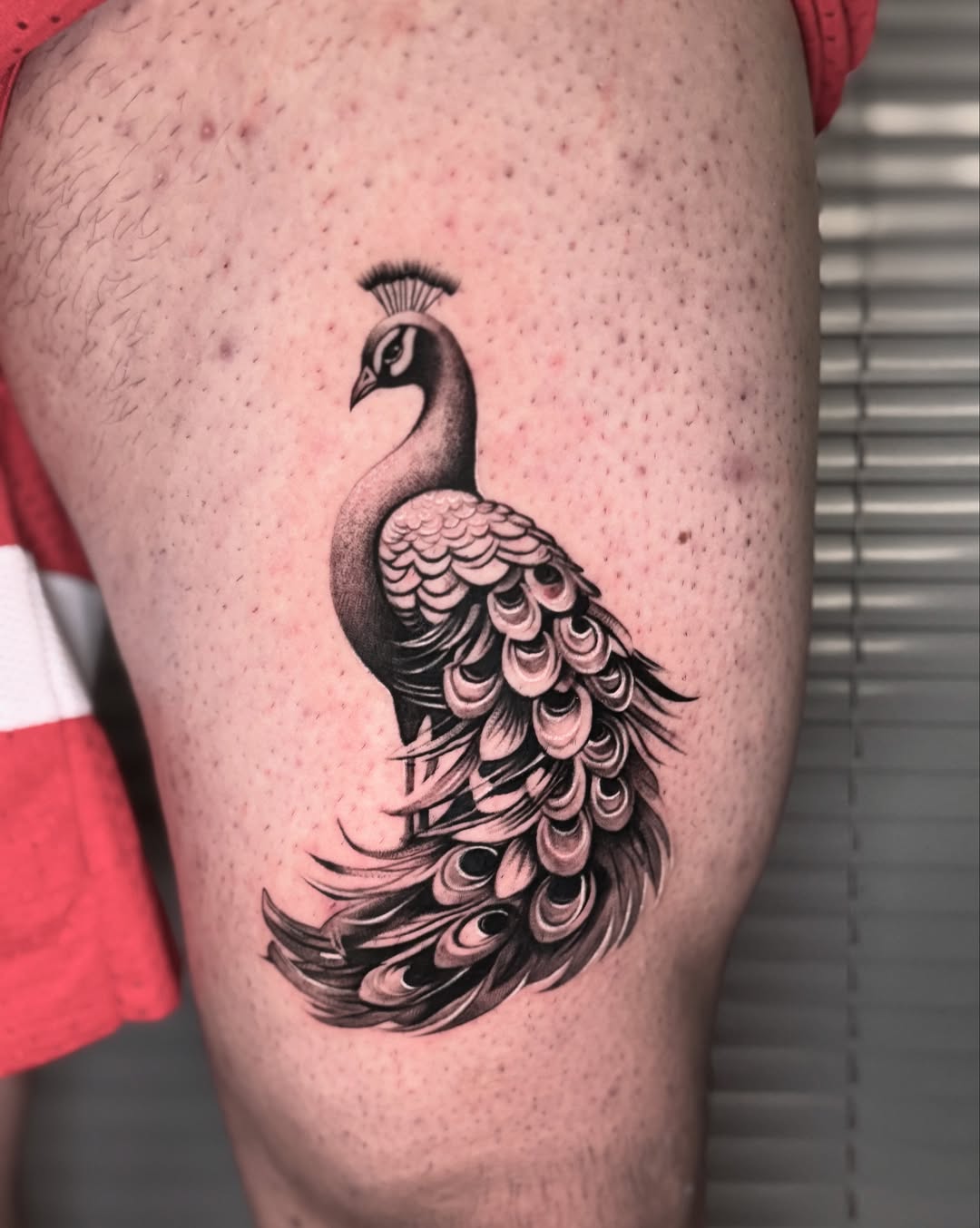 The Symbolic Splendor of Peacock Tattoos: Powerful Designs That Speak for Themselves