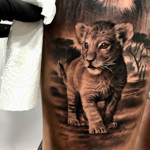 20 Ideas for Lion Tattoos: Drawing Inspiration, Images, and Sketches