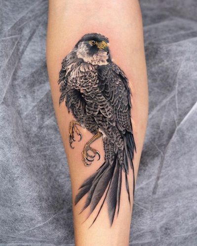 Discover 18 Hawk Tattoo Designs for : Symbolic Ink Ideas for Men and Women