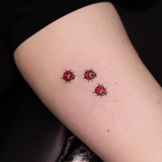 29 Ladybug Tattoo Ideas with Stencil Designs, Fine Line, Traditional Style, Gothic, Floral