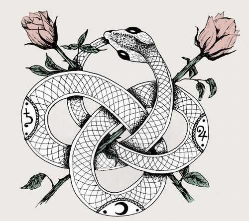 15 Captivating Snake Tattoo Sketch Ideas