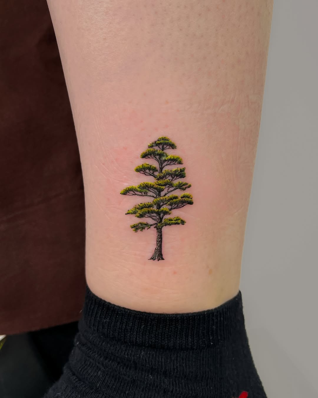 30 Pine Tree Tattoo Ideas: Quiet Symbols of Resilience, Place, and Peace