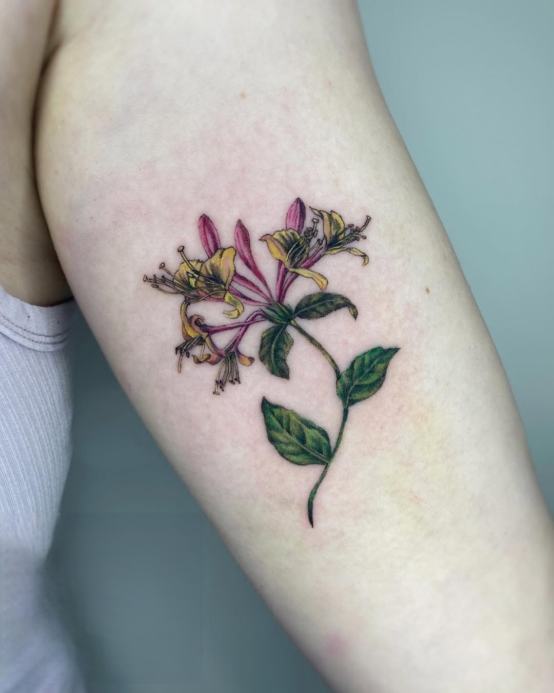 29 Honeysuckle Tattoo Ideas with Fine Line, Neo Traditional, Coral, and American Traditional Designs