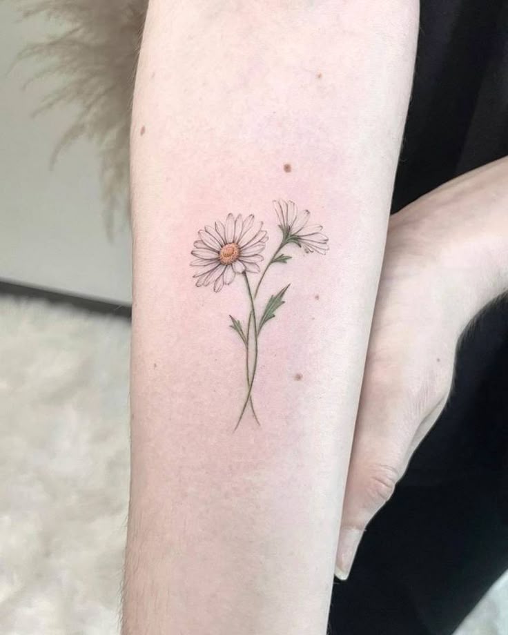 25 Daisy Tattoo Ideas with Fine Line, Watercolor, Minimalist, Stencil, Traditional & Dainty Designs