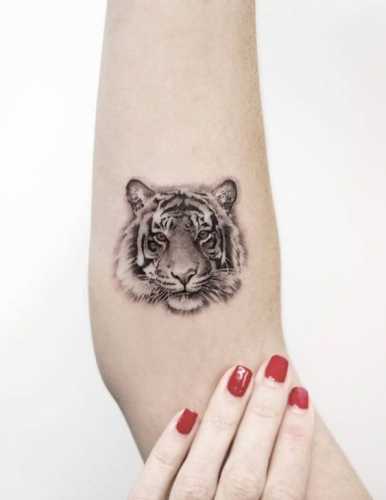 23 Traditional Tiger Tattoo Ideas