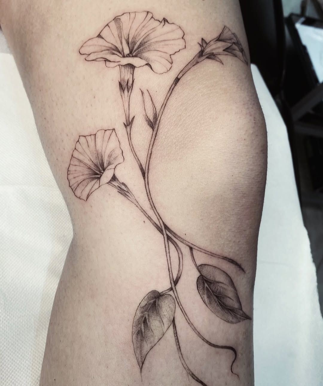 29 Morning Glory Tattoo Ideas: Elegant Vines, Quiet Symbolism, and Wearable Color