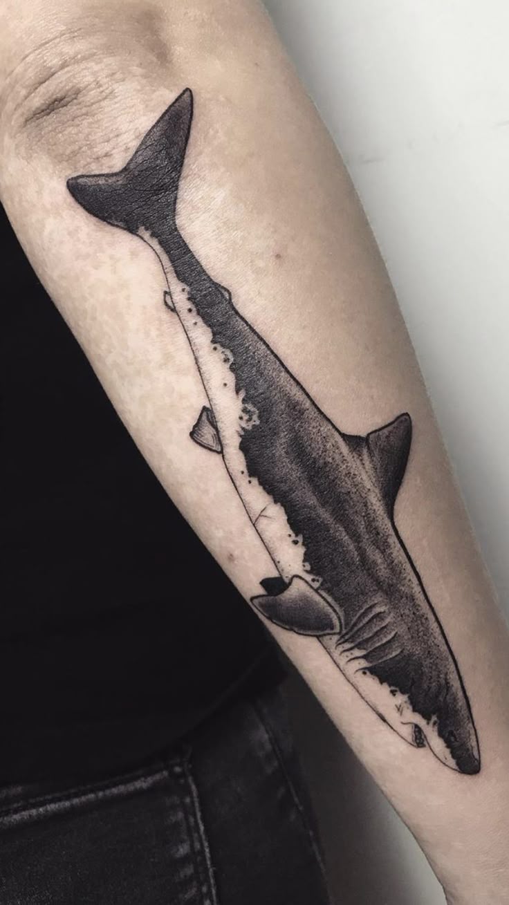 27 Shark Tattoo Ideas for Men & Women: Cute, Minimal, Traditional, Japanese Styles