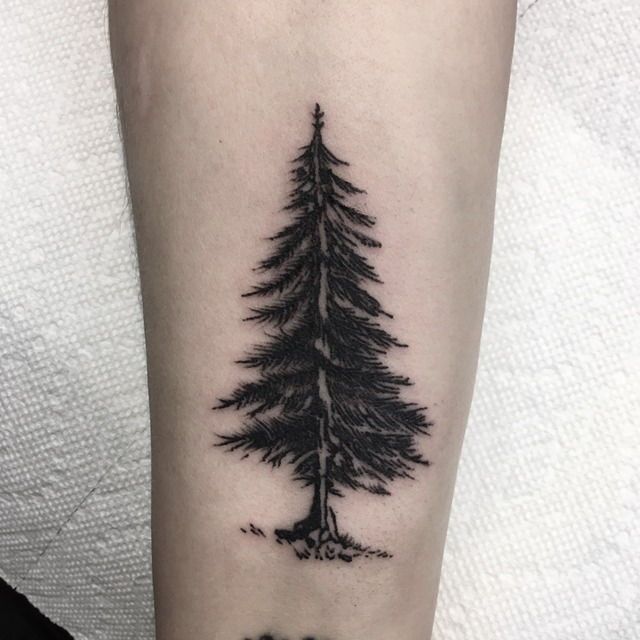 30 Pine Tree Tattoo Ideas: Quiet Symbols of Resilience, Place, and Peace