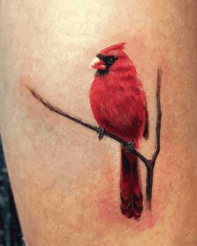17 Red Cardinal Tattoo Ideas