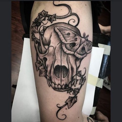 19 Cat Skull Tattoo Ideas