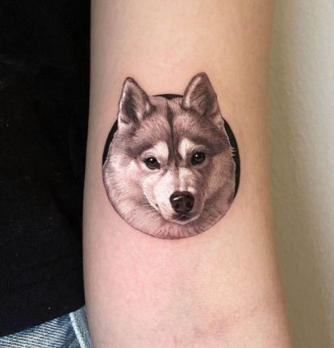 20 Husky Tattoo Ideas for