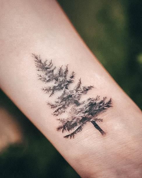 30 Pine Tree Tattoo Ideas: Quiet Symbols of Resilience, Place, and Peace