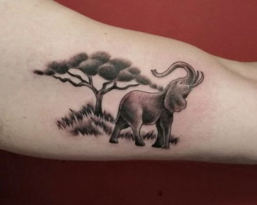 26 Wrist Elephant Tattoos Ideas