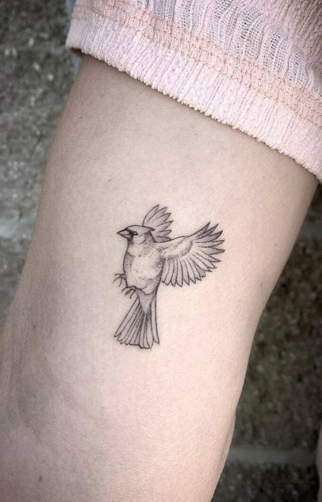 28 Cardinal Tattoo Ideas for Women and Men: Memorial, Fine Line, Stencil Outline, Small Flying