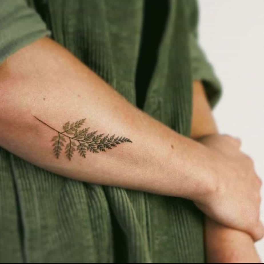 29 Fern Tattoo Ideas: Nature s Most Elegant Lines, From Shoulder Fronds to Hip Vines