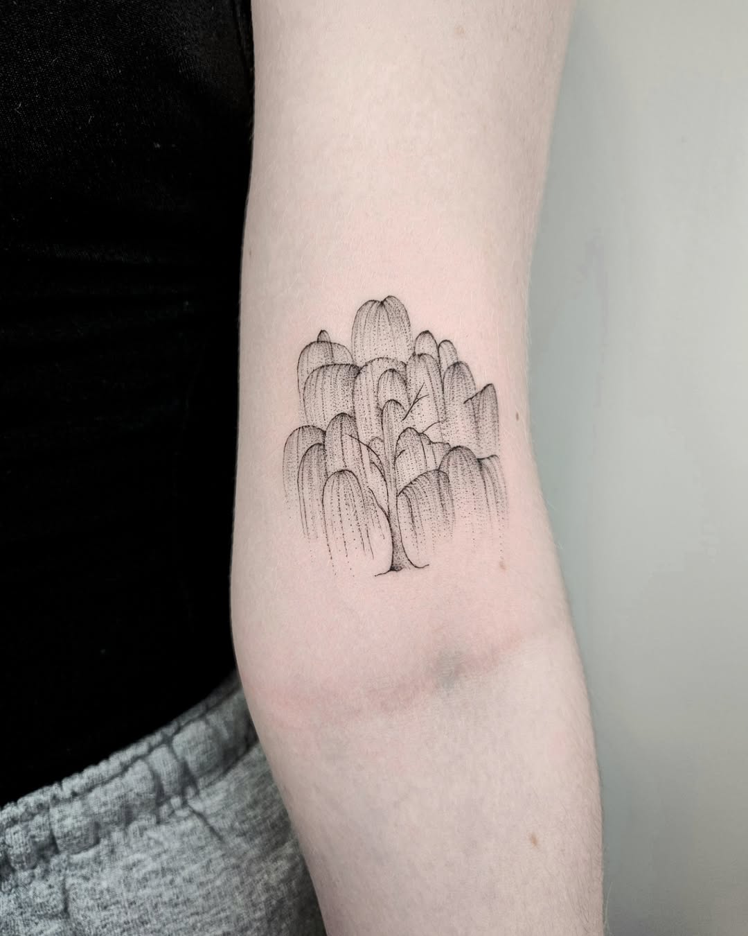 28 Willow Tree Tattoo Ideas: Graceful Designs Filled with Emotion, Meaning, and Quiet Strength
